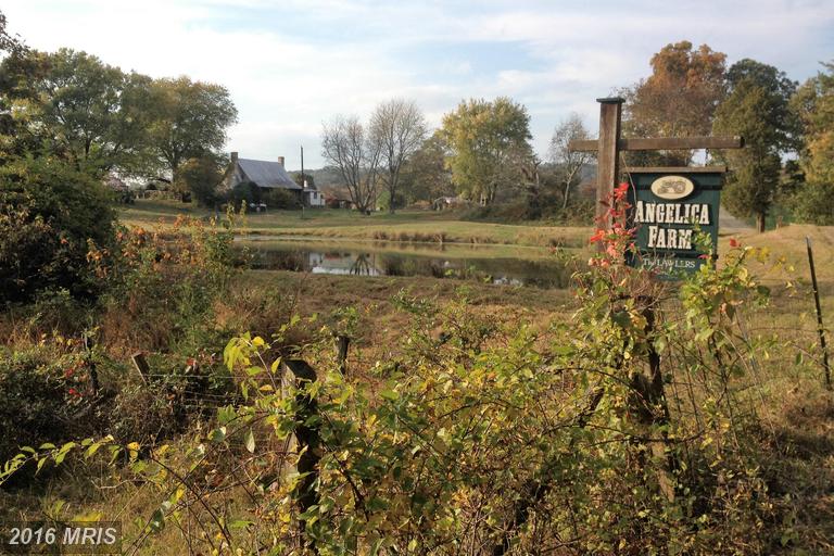6036 LAWLERS ROAD, Marshall, VA 20115