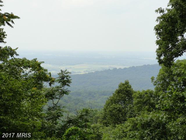238 FOREST RIDGE LANE, Bluemont, VA 20135