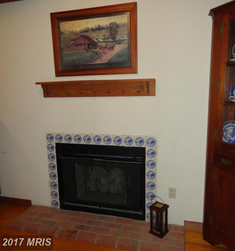 238 FOREST RIDGE LANE, Bluemont, VA 20135