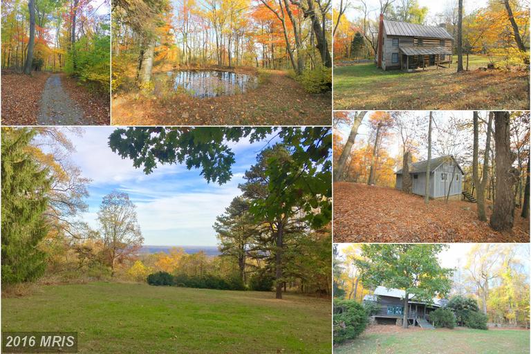 16623 TREE CROPS LANE, Round Hill, VA 20141