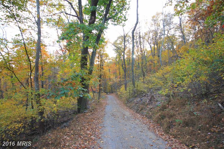16623 TREE CROPS LANE, Round Hill, VA 20141