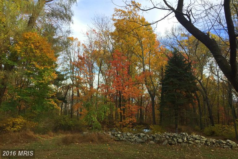 16623 TREE CROPS LANE, Round Hill, VA 20141