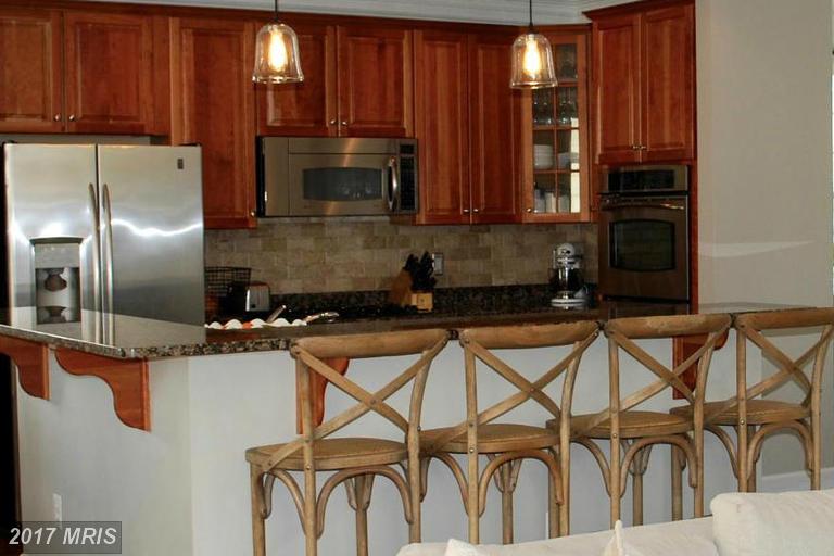 23021 WHITE IBIS DRIVE, Ashburn, VA 20148
