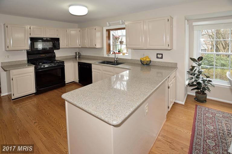 13477 POINT PLEASANT DRIVE, Chantilly, VA 20151