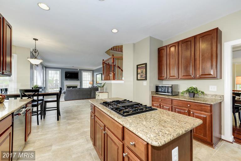 1625 CHICKASAW PLACE NORTHEAST, Leesburg, VA 20176