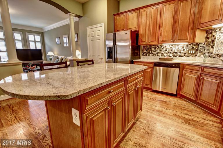 43490 CASTLE HARBOUR TERRACE, Leesburg, VA 20176