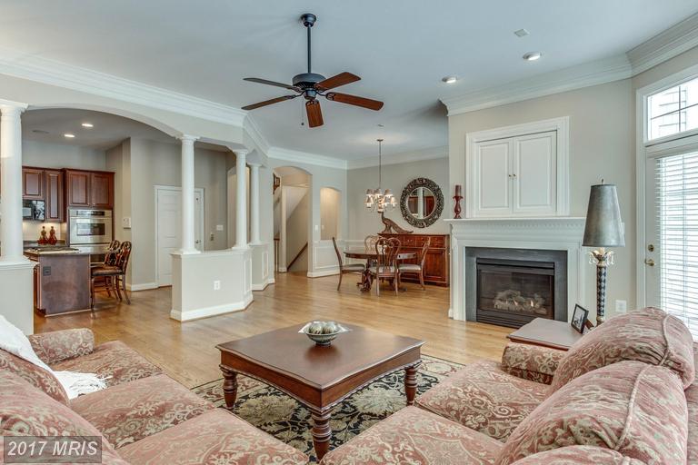 18228 CYPRESS POINT TERRACE, Leesburg, VA 20176