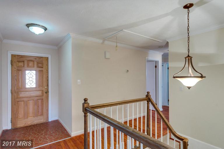 4501 DOLPHIN LANE, Alexandria, VA 22309