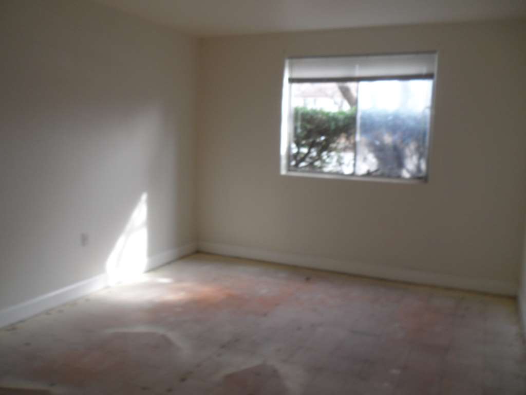 5602 Bloomfield Dr Unit 3Alexandria, VA, 22312Fairfax County