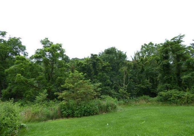 424 Newlins Hill RdWinchester, VA, 22603Frederick County