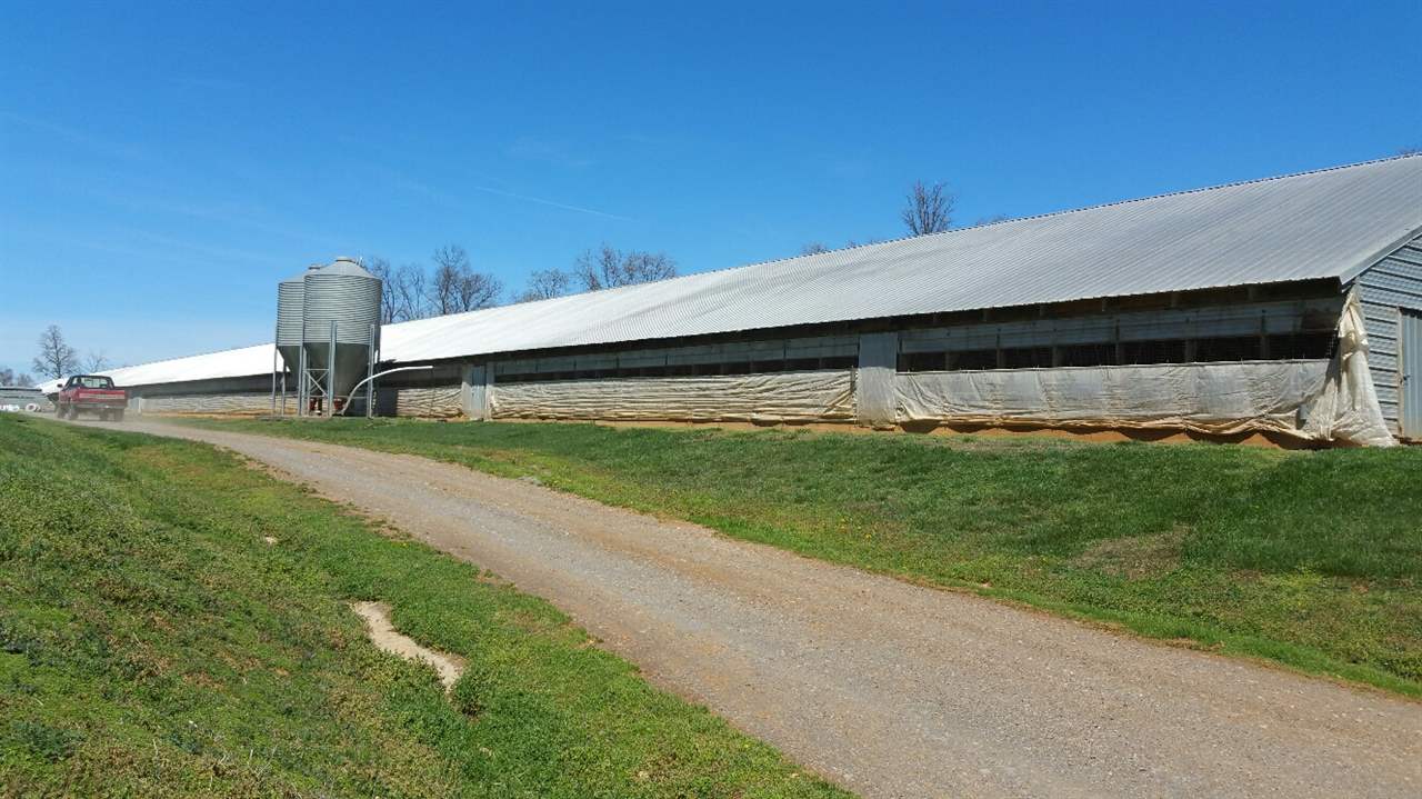 4202 FURNACE LN, Elkton, VA 22827