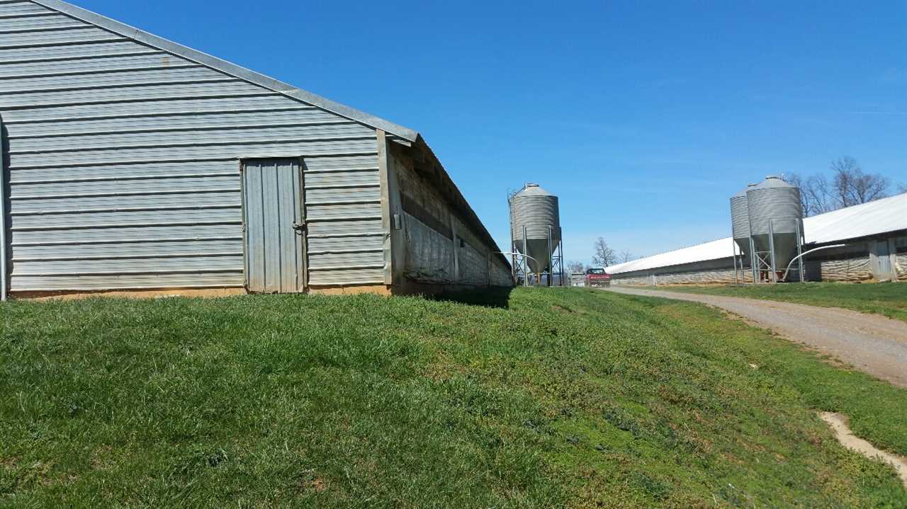 4202 FURNACE LN, Elkton, VA 22827