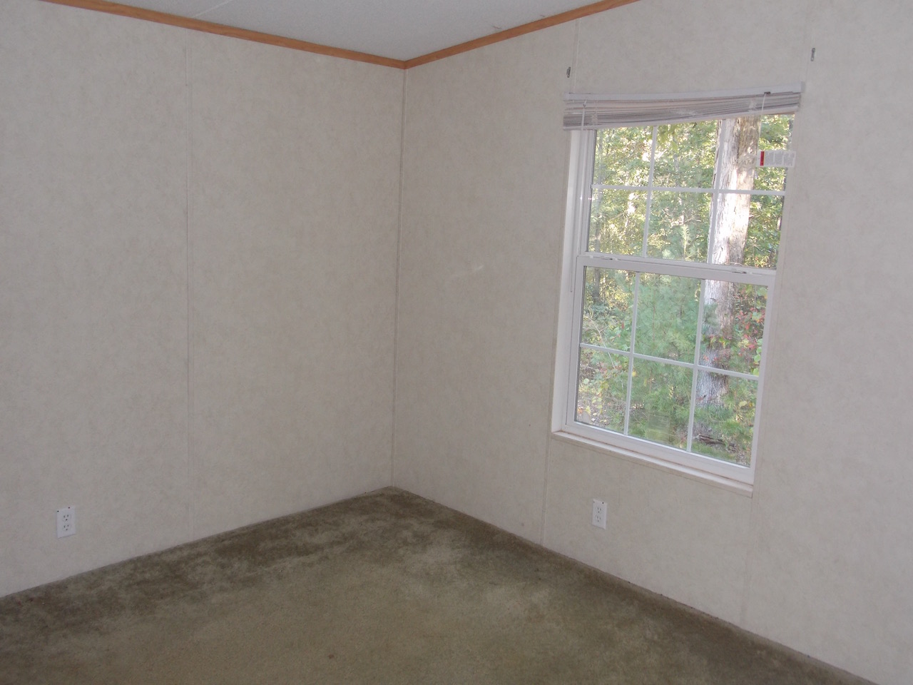 15166 Sassafras LnOrange, VA, 22960Orange County