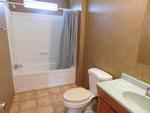 161 CLEARVIEW FARMS LN ,VA, Mineral, 23117