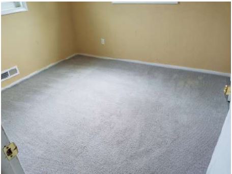 569 Beech DriveNewport News, VA, 23601Newport News City County