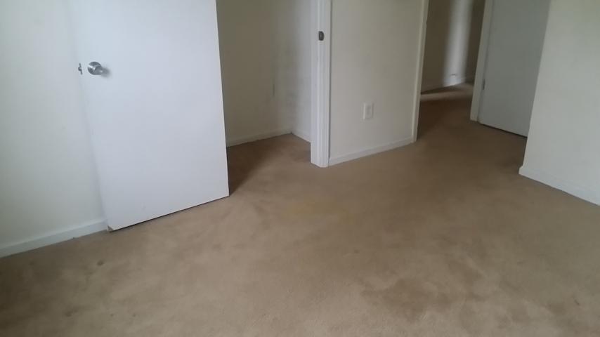 3803 Peach Orchard CirPortsmouth, VA, 23703Portsmouth City County