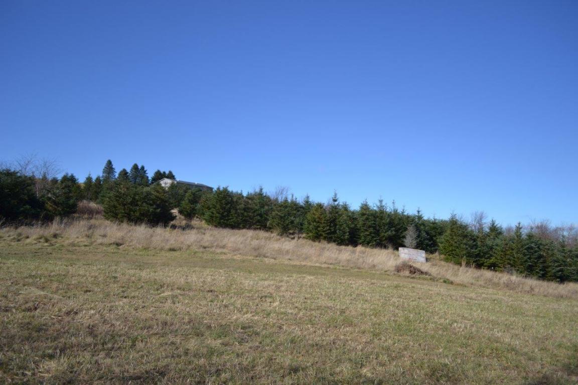 3125 Fairview Church RD, Floyd, VA 24091