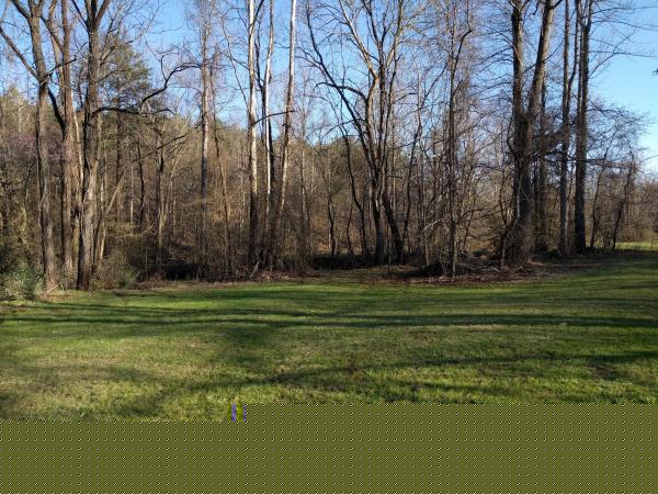 13 Spruce Park Dr ,VA, Martinsville, 24112
