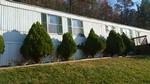 4146 PILOT RD ,VA, Riner, 24149