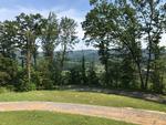 3331 DUFF PATT HWY ,VA, Duffield, 24244
