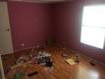 390 SUNSHINE HILL DR ,VA, Ewing, 24248