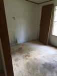 170 ROCKY TOP LN