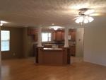 1528 BUCKEYE HOLLOW RD
