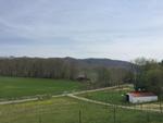 1528 BUCKEYE HOLLOW RD