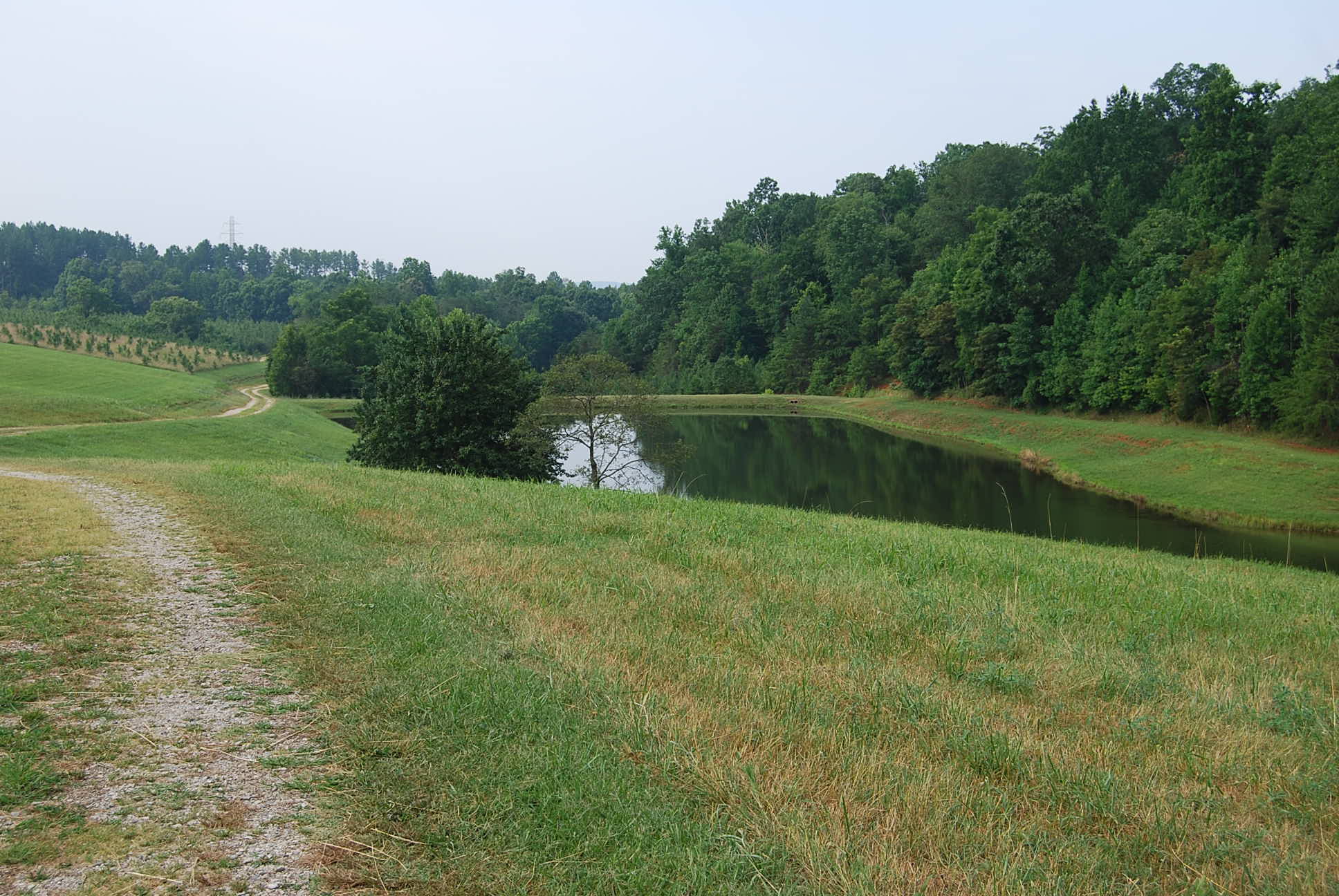 1016 Turkey Mtn Rd, Amherst, VA 24521