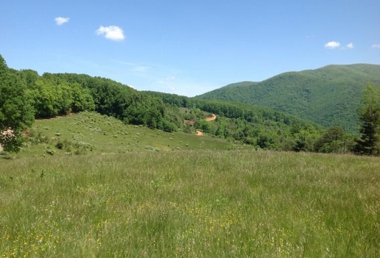 Lexington Tpke, Amherst, VA 24521