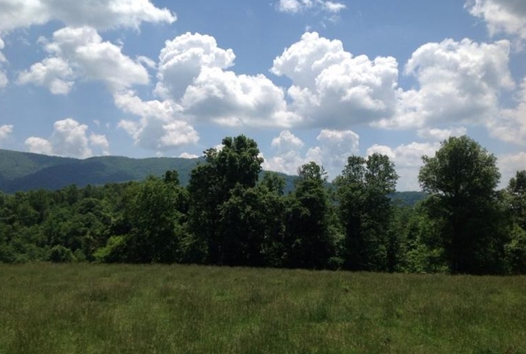 Lexington Tpke, Amherst, VA 24521