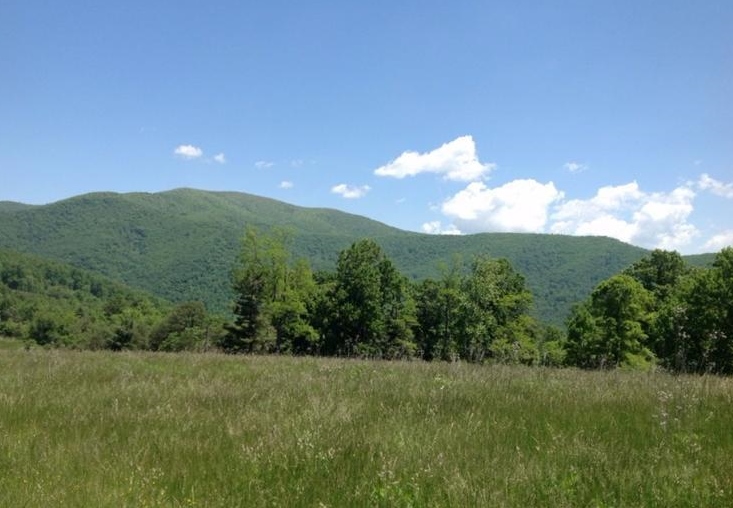 Lexington Tpke, Amherst, VA 24521