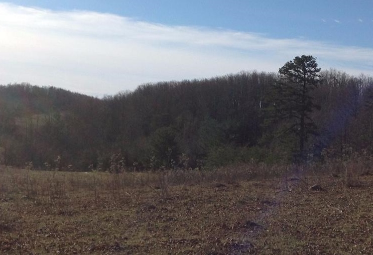 Lexington Tpke, Amherst, VA 24521