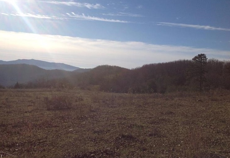 Lexington Tpke, Amherst, VA 24521
