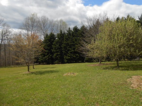 301 Hill Creek RdDry Fork, VA, 24549Pittsylvania County