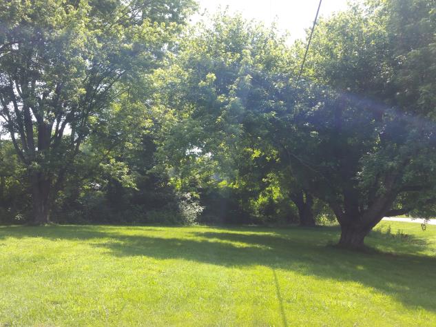 1626 Brookhill RdForest, VA, 24551Bedford County