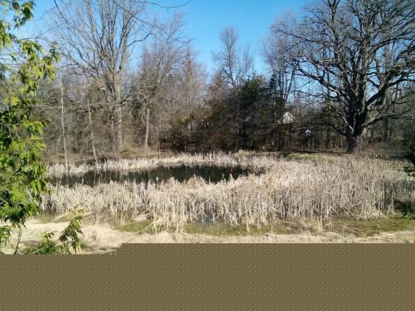 1889 Main St ,VT, Isle La Motte, 05463