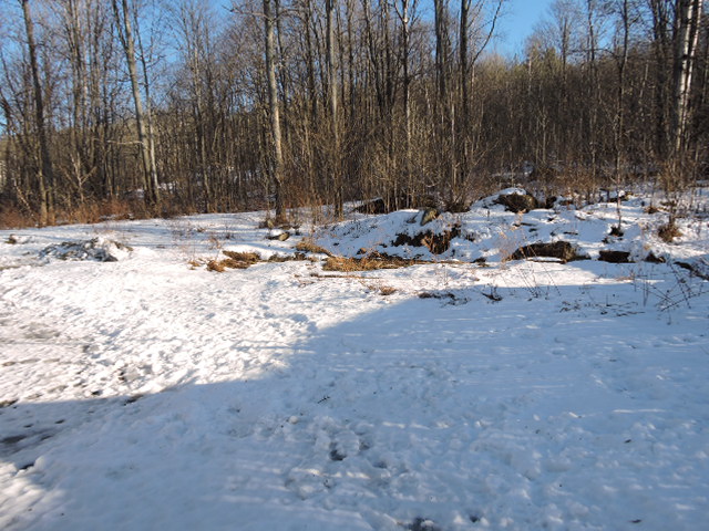 170 Robar RdWilliamstown, VT, 05679Orange County