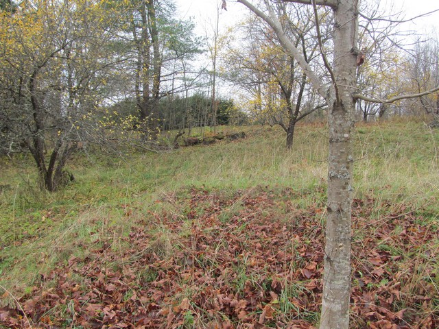 102 Sugarhouse RdWest Burke, VT, 05871Caledonia County