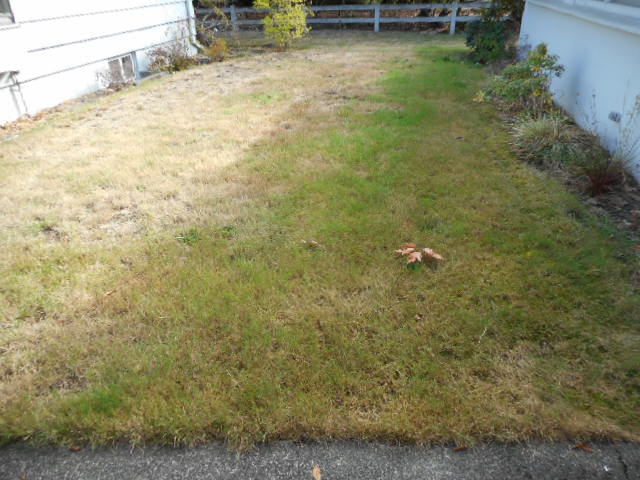 336 Park AvenueAuburn, WA, 98002King County