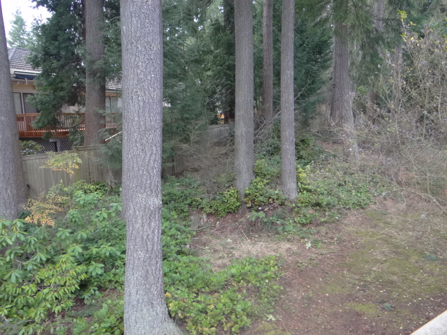 1800 142nd St SEMill Creek, WA, 98012Snohomis County County