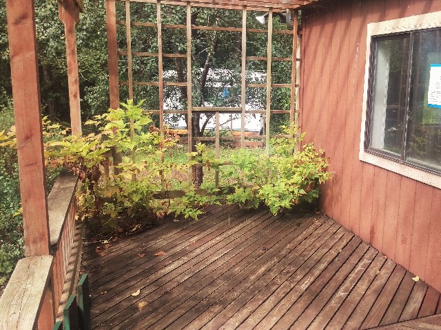 20250 Mountain ViewDuvall, WA, 98019King County