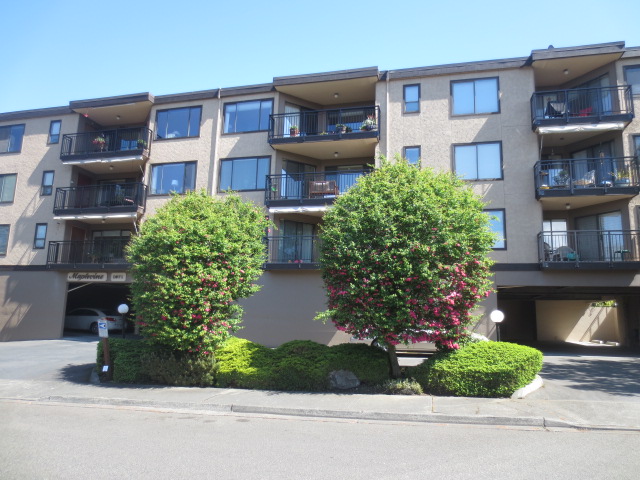 1071 4th Avenue S #204Edmonds, WA, 98020Snohomish County