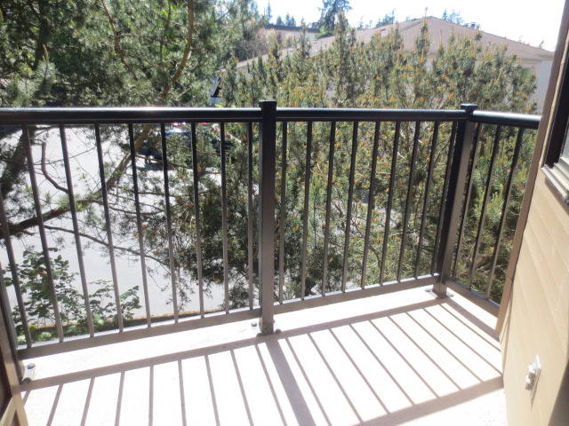 1071 4th Avenue S #204Edmonds, WA, 98020Snohomish County