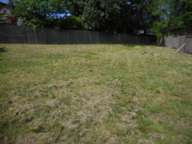 33313 28th Pl SWFederal Way, WA, 98023King County