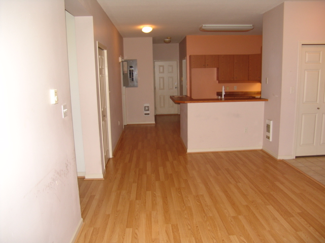 4217 164th Street SW A-206Lynnwood, WA, 98037Snohomish County