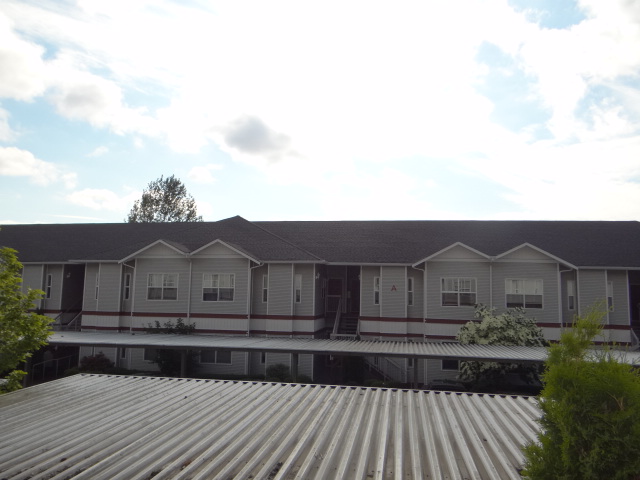 4217 164th Street SW A-206Lynnwood, WA, 98037Snohomish County