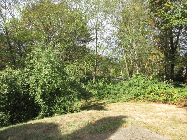 7015 14th Avenue SWSeattle, WA, 98106King County