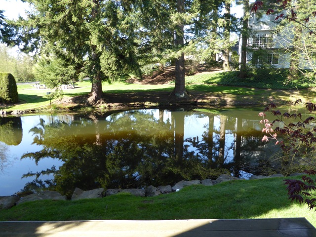 11628 Admiralty Way#AEverett, WA, 98204Snohomish County