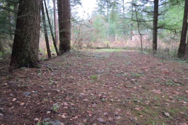102 Sprague Valley DrMaple Falls, WA, 98266Whatcom County